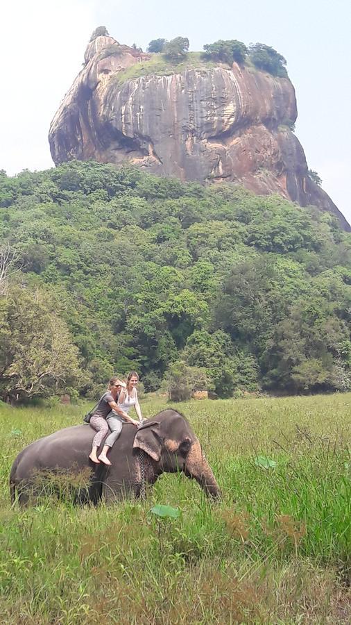 Richwin Villa Dambulla Luaran gambar